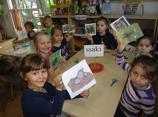 gr III Wiosenne przebudzenie