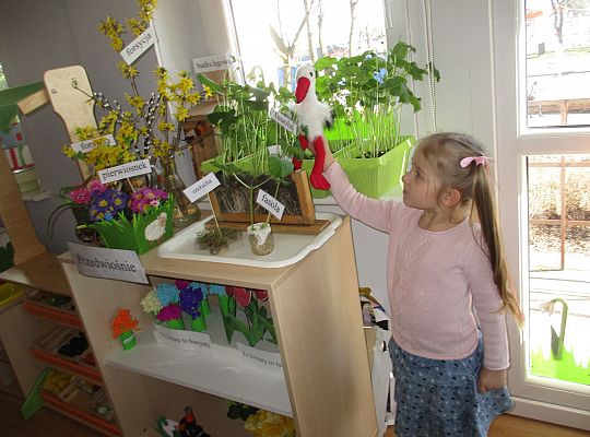 gr III Wiosenne przebudzenie