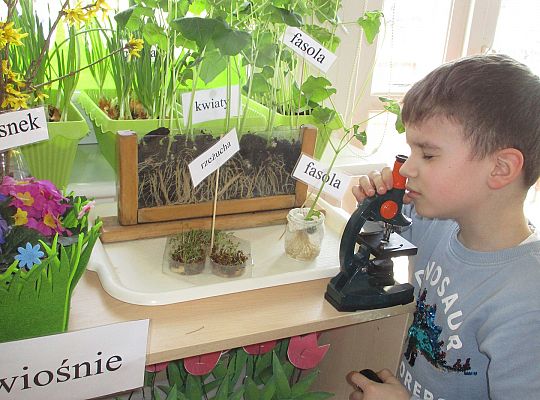 gr III Wiosenne przebudzenie