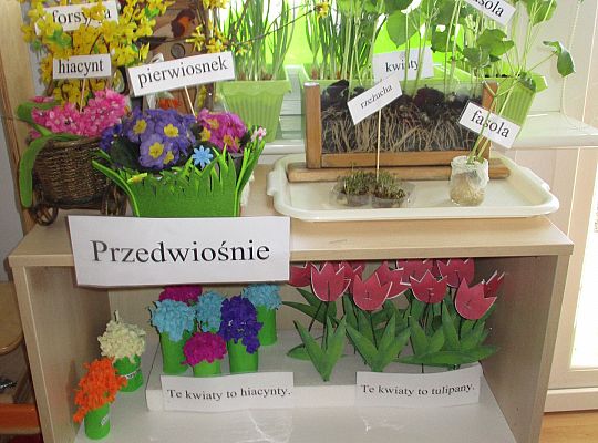 gr III Wiosenne przebudzenie