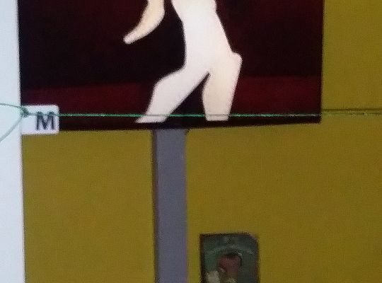 Gr IV Zajęcia w bibliotece-"Co to jest teatr cieni"