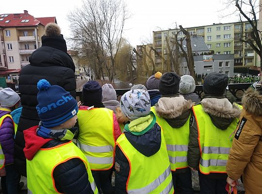 gr IV Pierwszy dzień wiosny