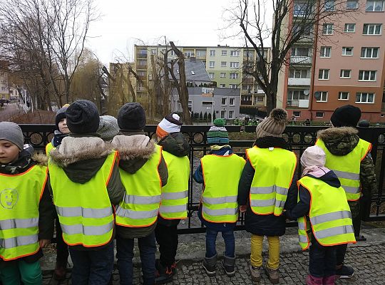 gr IV Pierwszy dzień wiosny