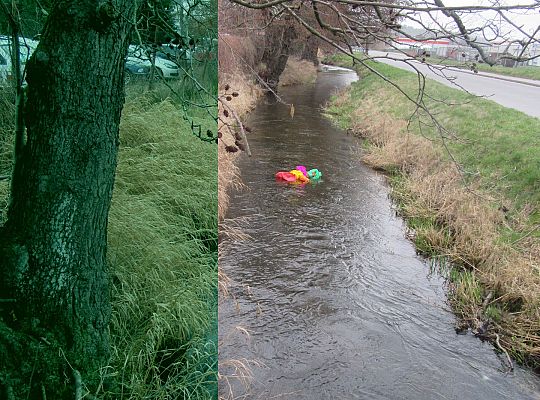 gr I Pierwszy dzień wiosny