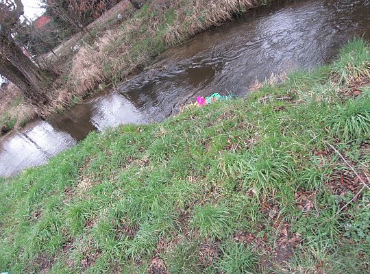 gr I Pierwszy dzień wiosny