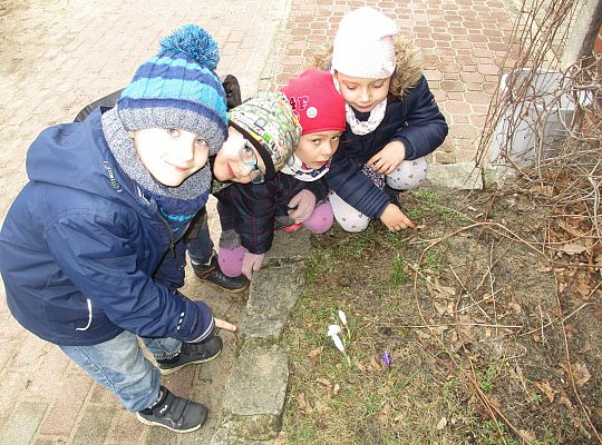 gr III Witamy wiosnę