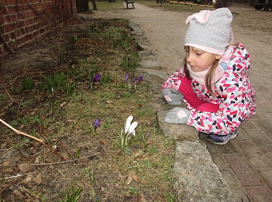 gr III Witamy wiosnę