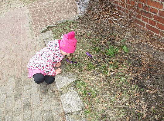 gr III Witamy wiosnę