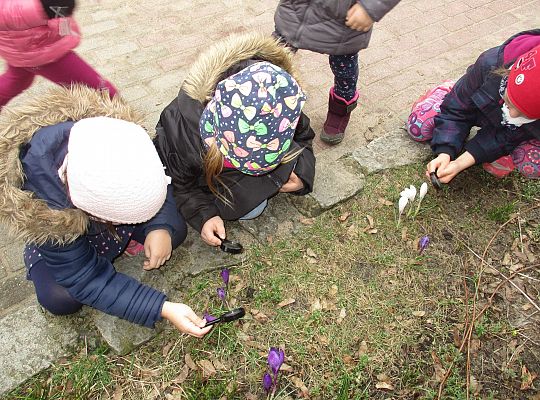 gr III Witamy wiosnę