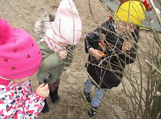 gr III Witamy wiosnę