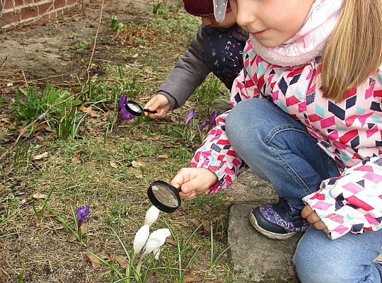 gr III Witamy wiosnę