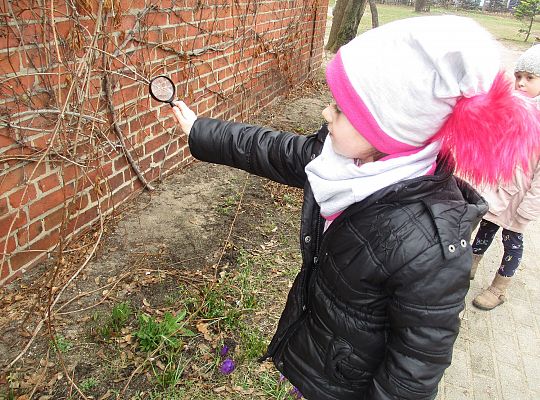 gr III Witamy wiosnę