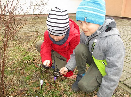 gr III Witamy wiosnę