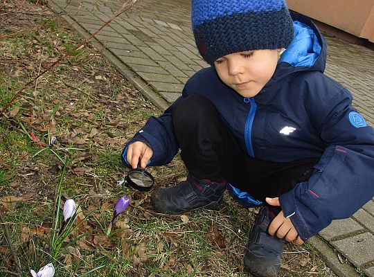 gr III Witamy wiosnę