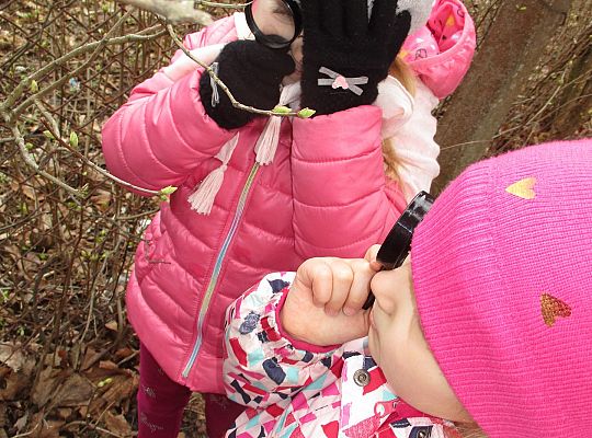 gr III Witamy wiosnę