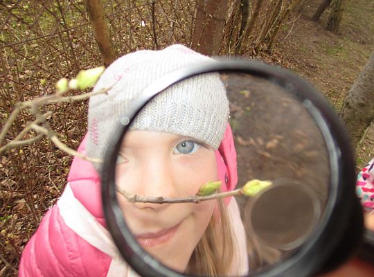 gr III Witamy wiosnę