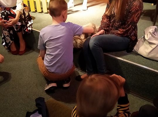 Gr IV- Spotkanie z autorką książek o psach oraz pasowanie na czytelnika