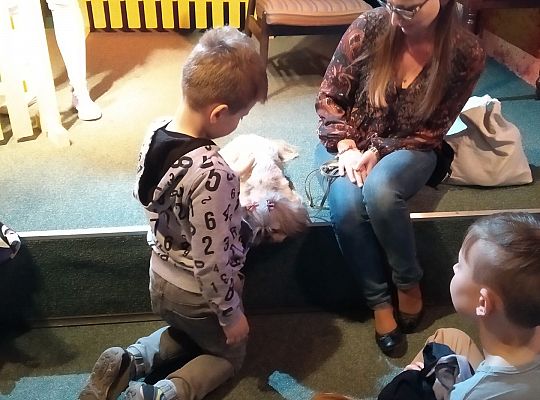 Gr IV- Spotkanie z autorką książek o psach oraz pasowanie na czytelnika