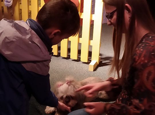 Gr IV- Spotkanie z autorką książek o psach oraz pasowanie na czytelnika