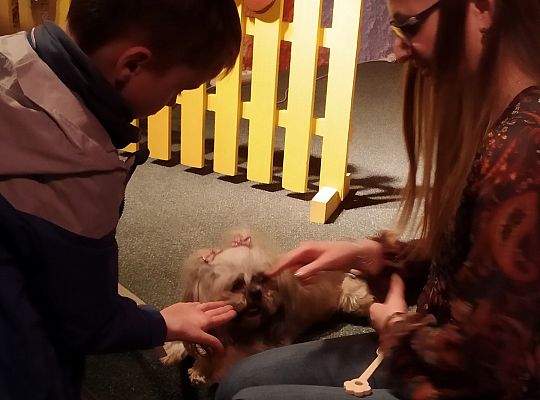 Gr IV- Spotkanie z autorką książek o psach oraz pasowanie na czytelnika