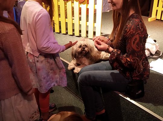 Gr IV- Spotkanie z autorką książek o psach oraz pasowanie na czytelnika