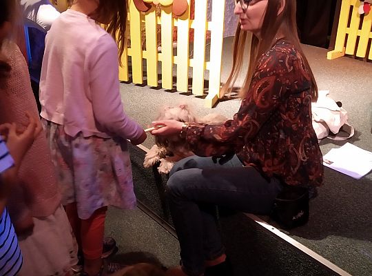 Gr IV- Spotkanie z autorką książek o psach oraz pasowanie na czytelnika