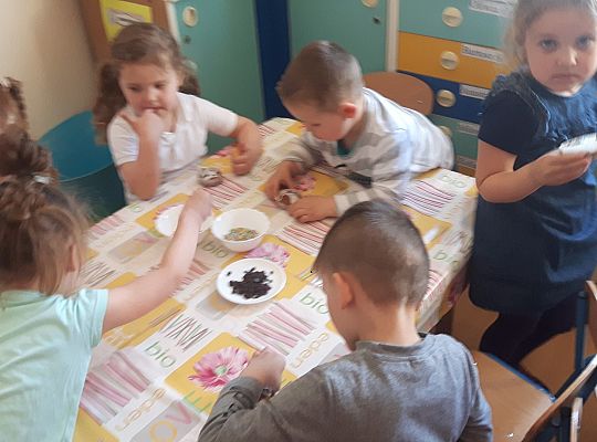 GR II pieczemy babeczki do koszyczka