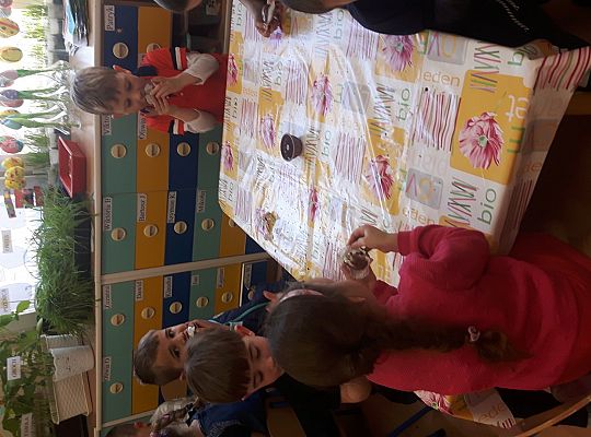 GR II pieczemy babeczki do koszyczka