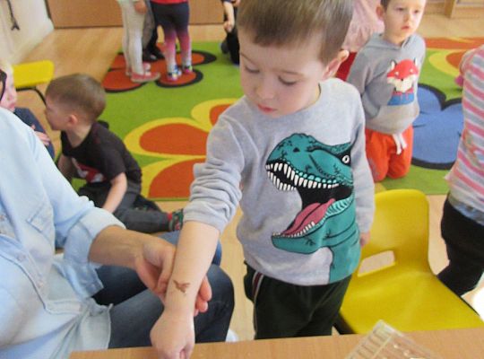 Gr I Przyleciały motyle