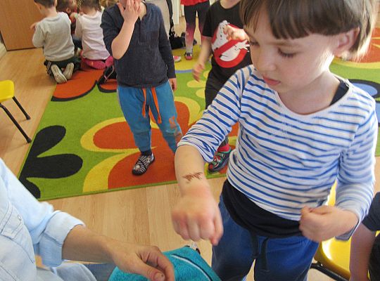 Gr I Przyleciały motyle