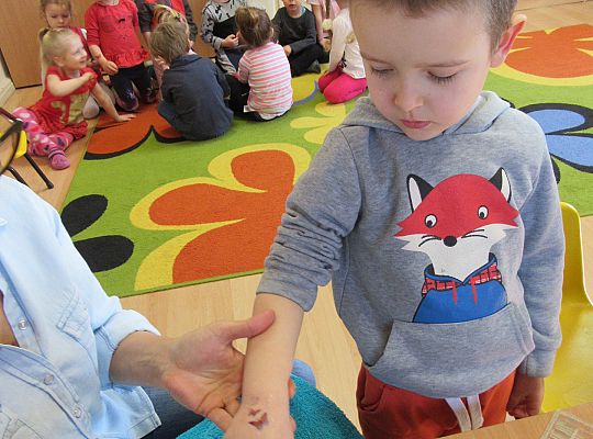 Gr I Przyleciały motyle