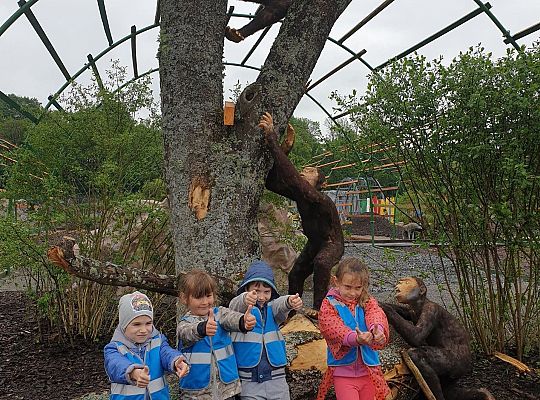 Gr III Wycieczka do Parku Ewolucji w Sławutówku