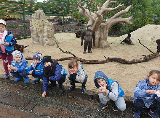 Gr III Wycieczka do Parku Ewolucji w Sławutówku