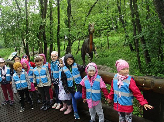 Gr III Wycieczka do Parku Ewolucji w Sławutówku