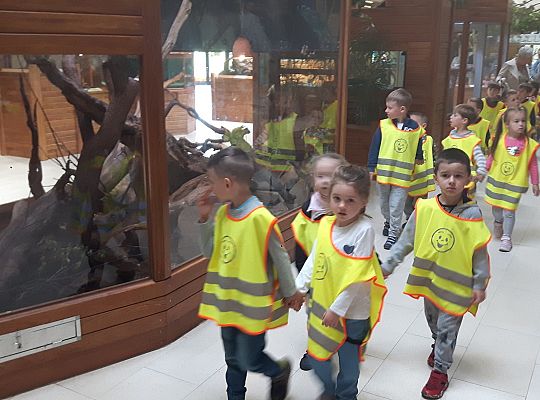 Gr II Wycieczka do Tuchlina