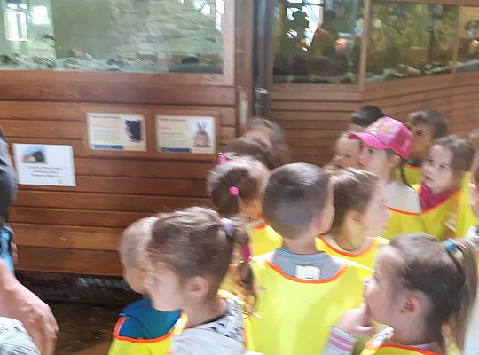 Gr II Wycieczka do Tuchlina