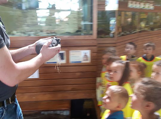 Gr II Wycieczka do Tuchlina