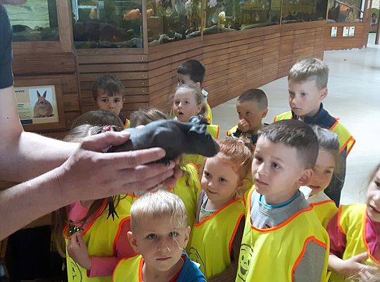 Gr II Wycieczka do Tuchlina