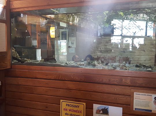 Gr II Wycieczka do Tuchlina