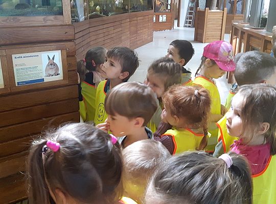 Gr II Wycieczka do Tuchlina