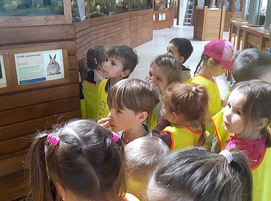 Gr II Wycieczka do Tuchlina