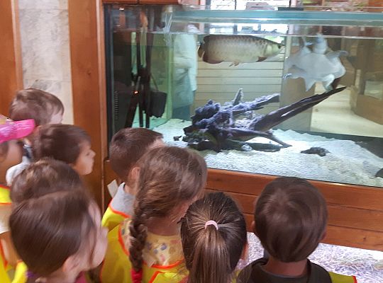 Gr II Wycieczka do Tuchlina