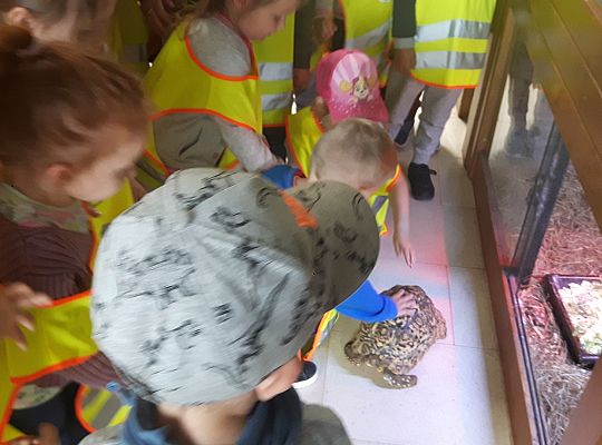 Gr II Wycieczka do Tuchlina