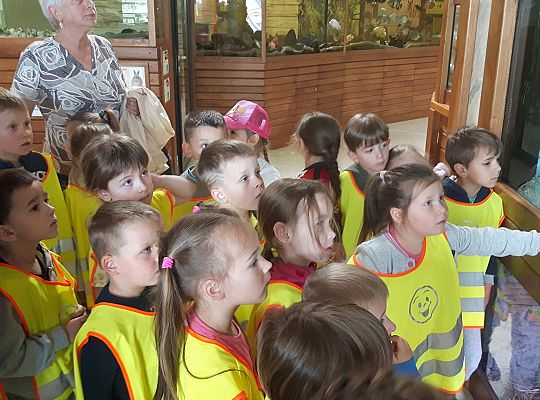 Gr II Wycieczka do Tuchlina