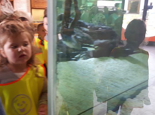 Gr II Wycieczka do Tuchlina