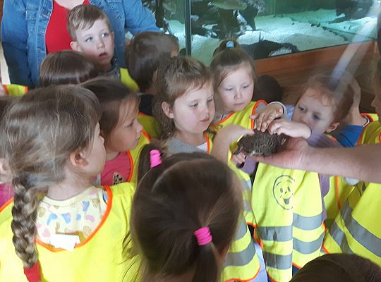 Gr II Wycieczka do Tuchlina