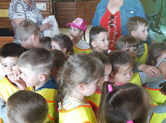 Gr II Wycieczka do Tuchlina