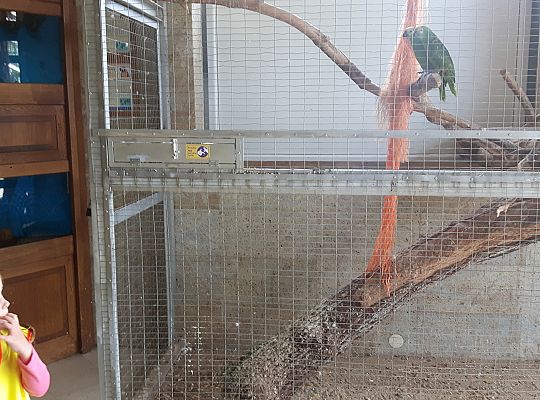 Gr II Wycieczka do Tuchlina