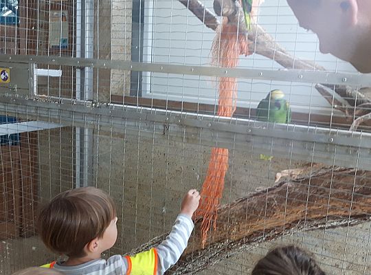 Gr II Wycieczka do Tuchlina