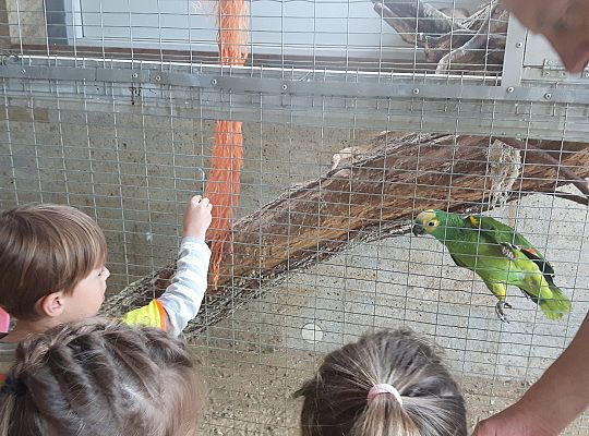 Gr II Wycieczka do Tuchlina